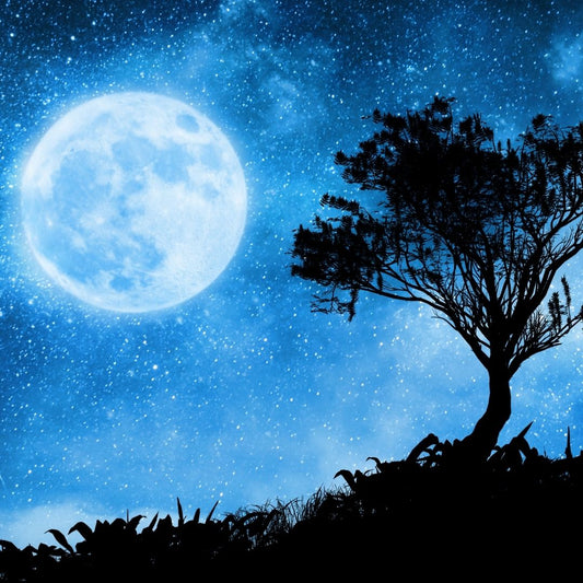 Lunar-Rituals-Working-With-Moon-Phases-Magic Sorceress Sanctuary