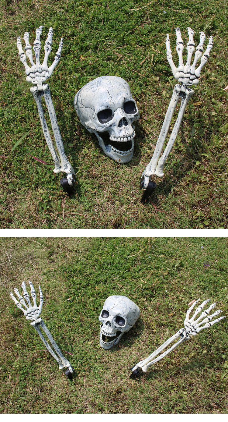 Realistic Skull Decor
