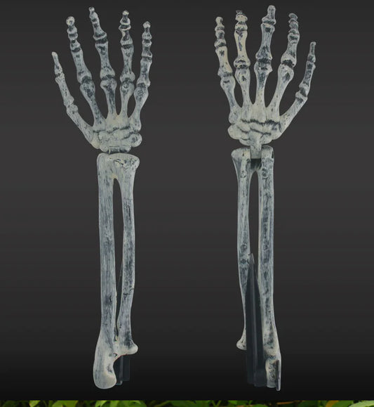 Realistic Skull Decor