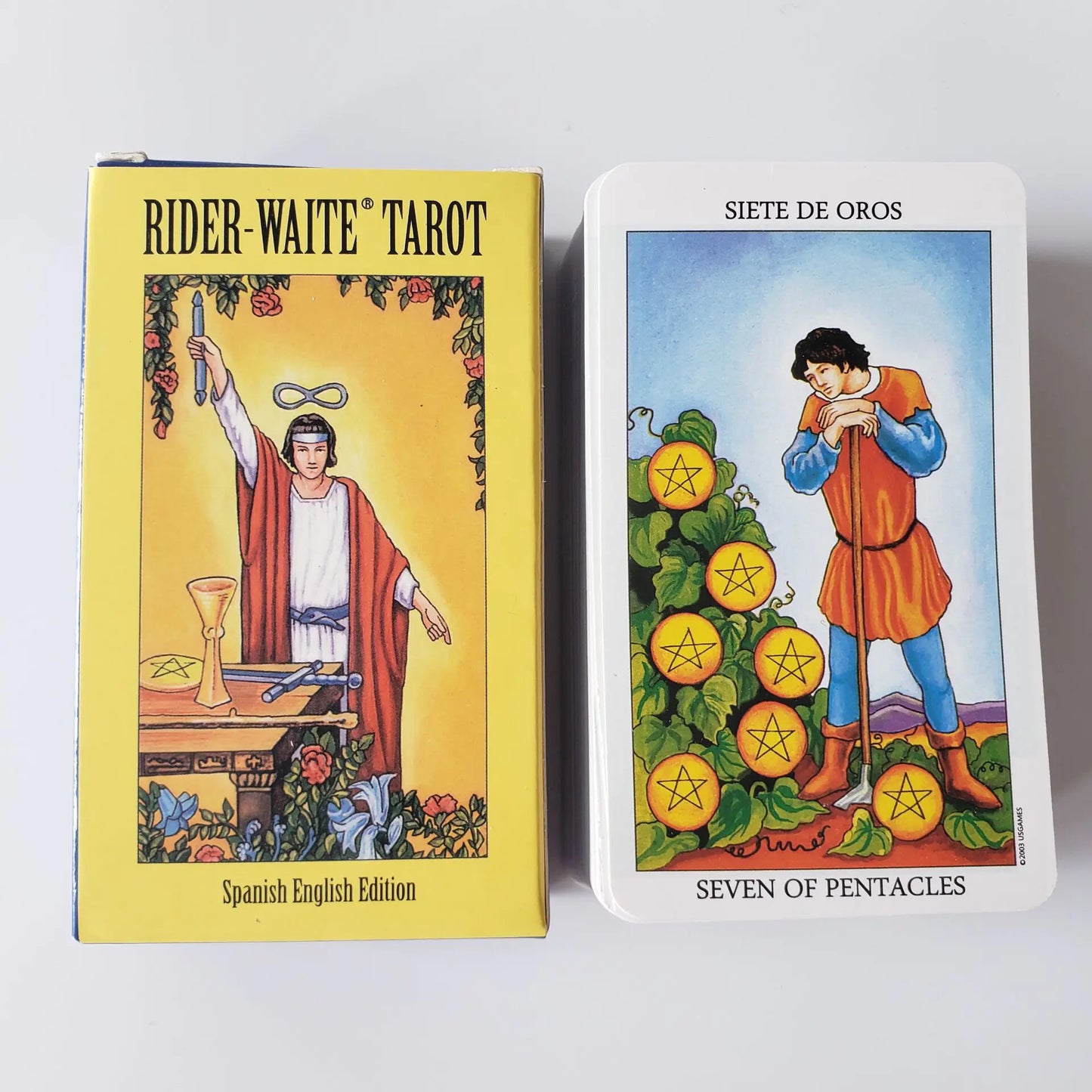 Bilingual Knight | Tarot Cards (English & Spanish)