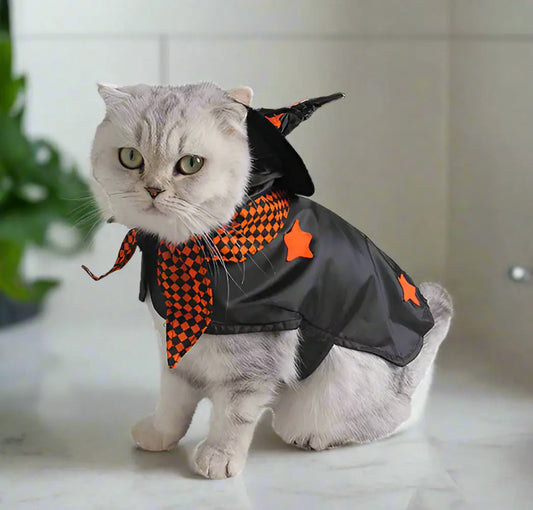 Cat wearing a Halloween-themed costume with a black cape and orange accents on a white background