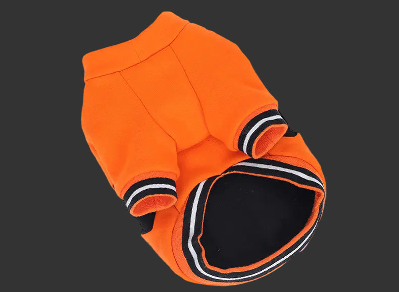 Orange halloween dog sweater with black and white trim on a white background