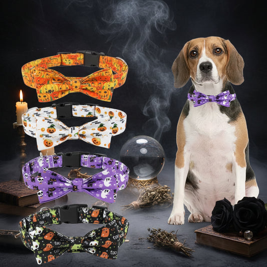 Halloween Pet Collars - Sorceress Sanctuary Black / M-White / S-Black / S-Purple / S-Black / L