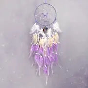 Enchanted Wings Dream Catcher