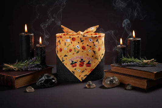 Premium Pet Scarf - Sorceress Sanctuary 1-2-3-4-5