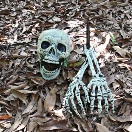 Realistic Skull Decor
