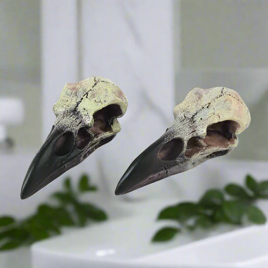 Two bird skulls with textured surfaces on a white background