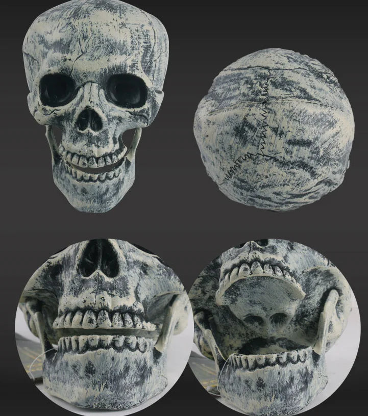 Realistic Skull Decor