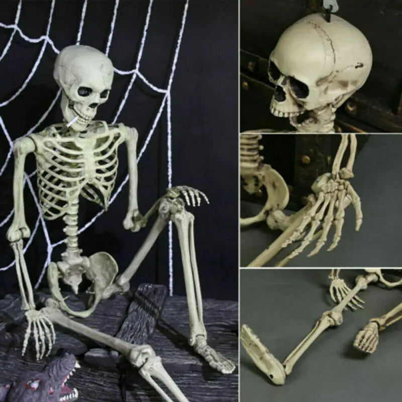 Collage of a detailed skeleton model with close-up details on a dark background.