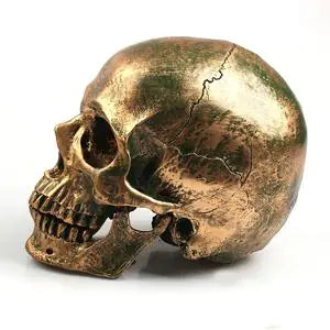 Golden Resin Skull Sorceress Sanctuary