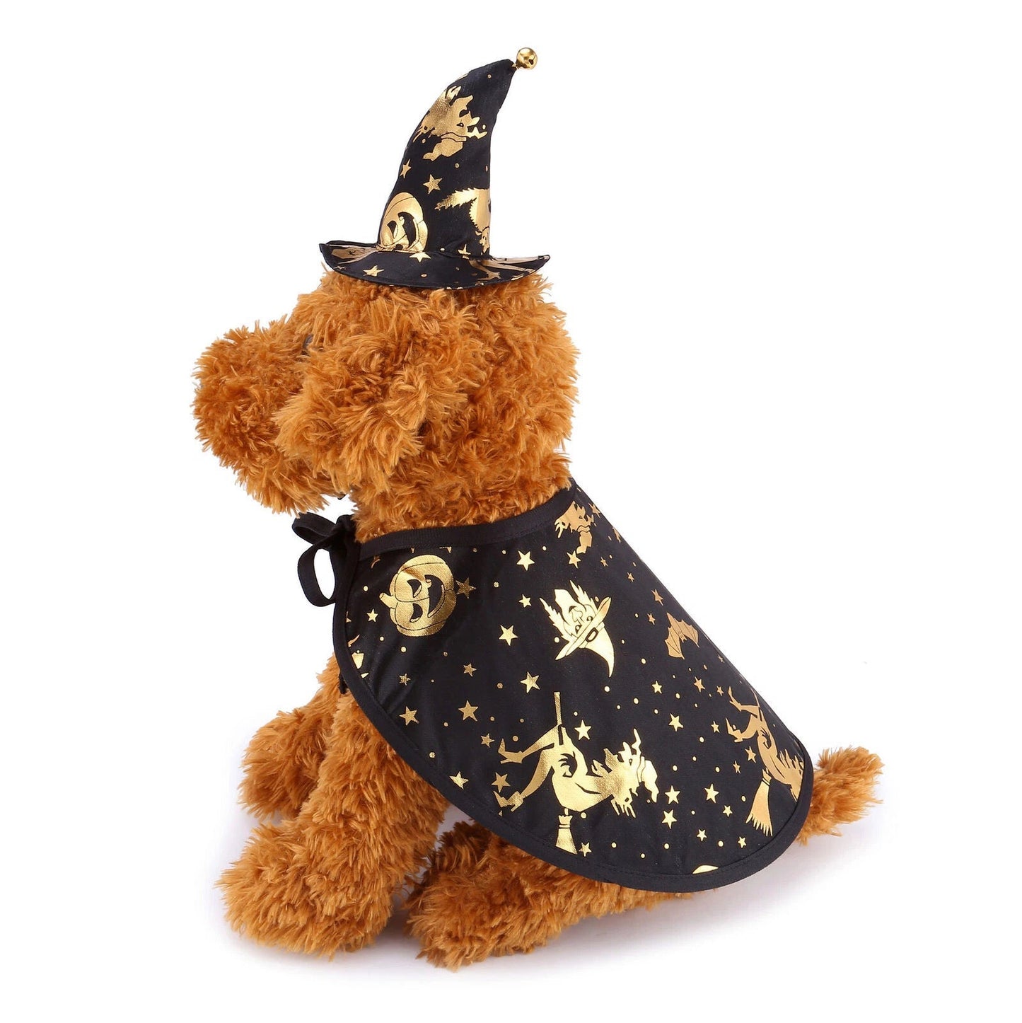 Pet Wizard Cloak Sorceress Sanctuary