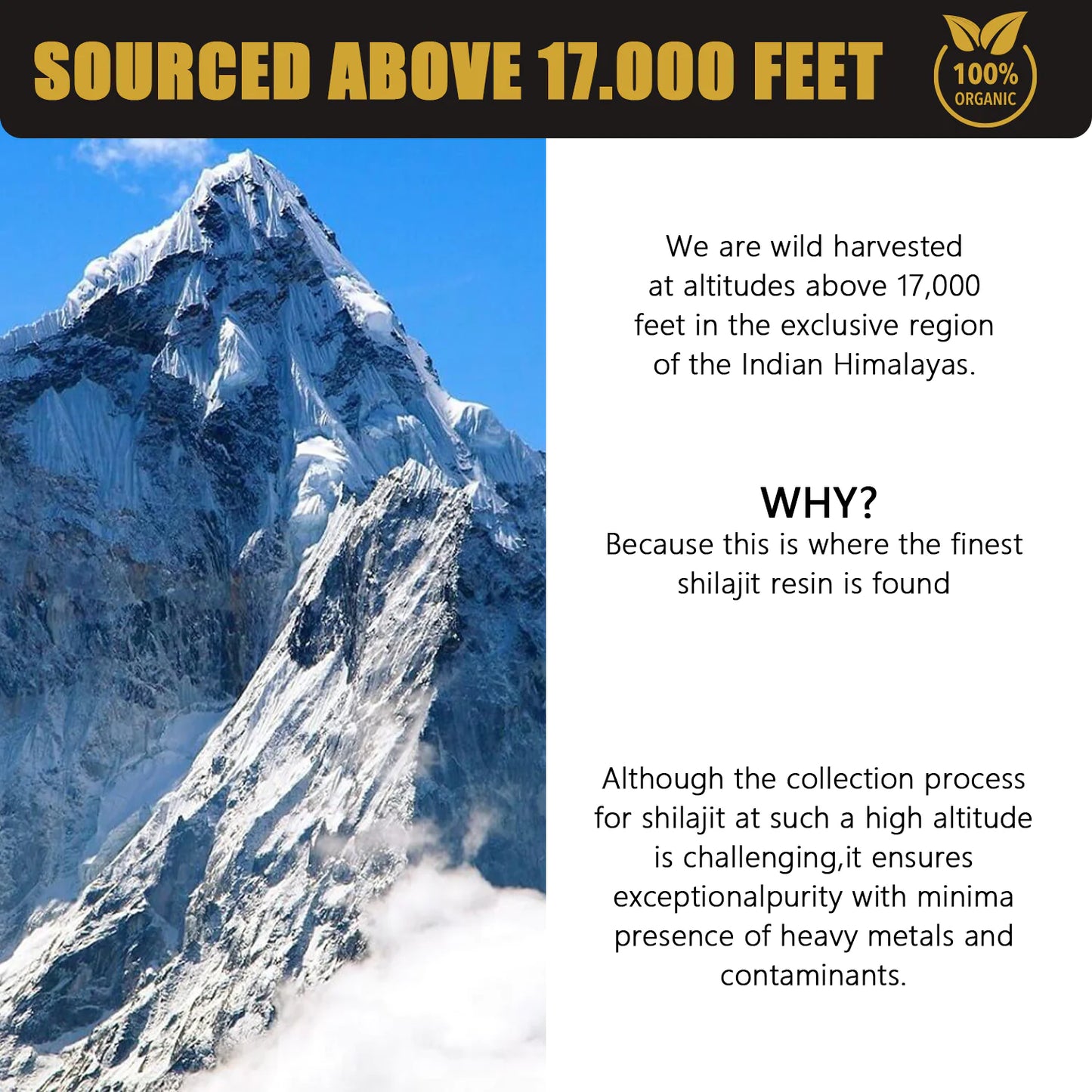 Mountain peak with text about shilajit sourcing above 17,000 feet in the Indian Himalayas.