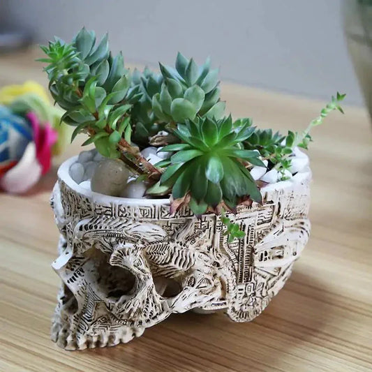 Skull Planter - Sorceress Sanctuary