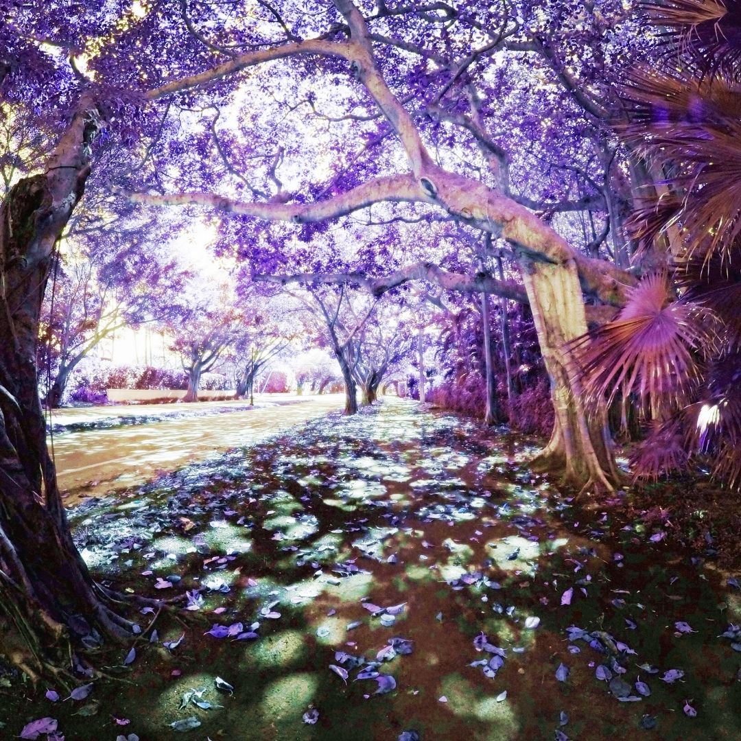 Elemental-Magic Sorceress Sanctuary
