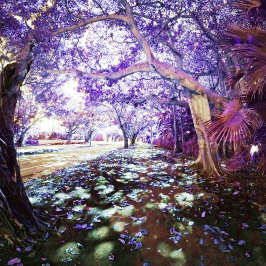 Elemental-Magic Sorceress Sanctuary