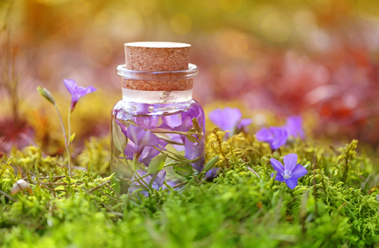 witch beginner potions guide