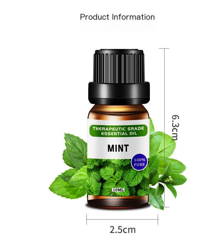 Aromatherapy Essential Oil 10ml Set