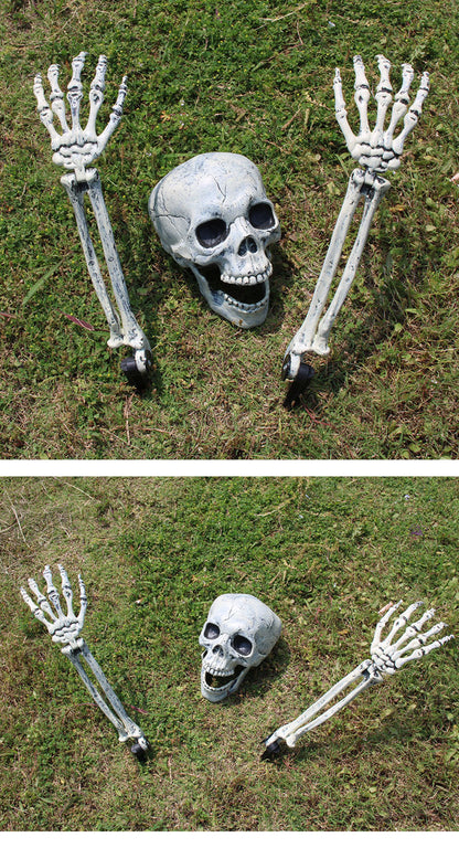 Realistic Skull Decor