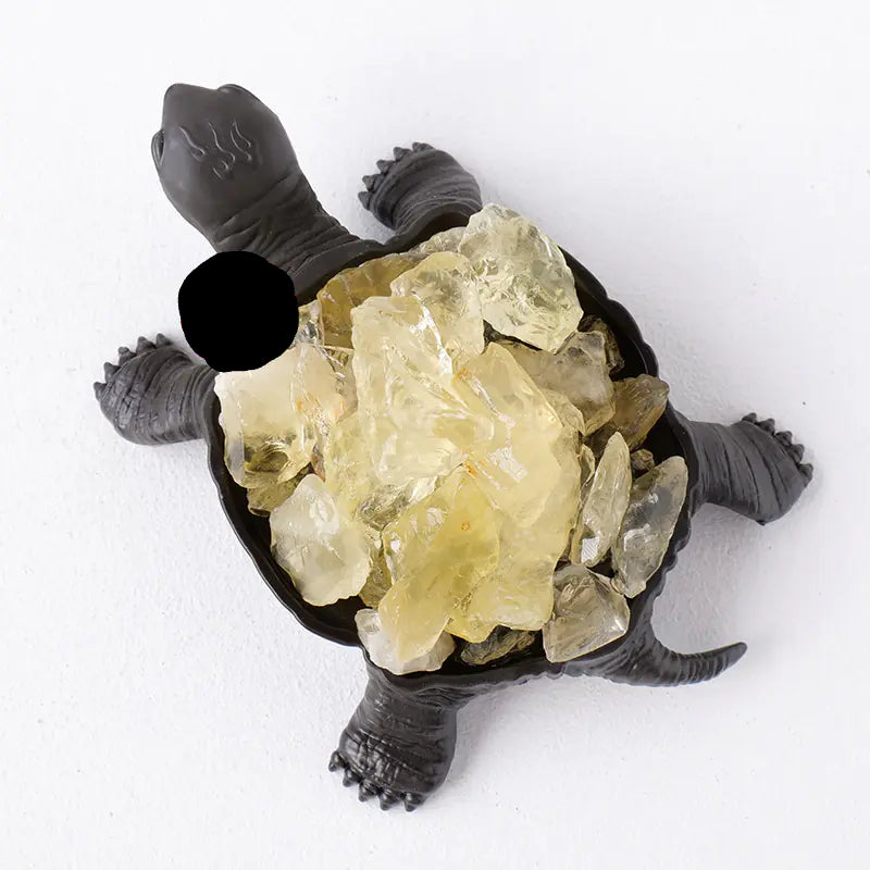 Natural Crystal | Turtle Figurine Sorceress Sanctuary