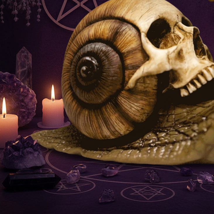 Snail Skull Resin Sculpture Sorceress Sanctuary