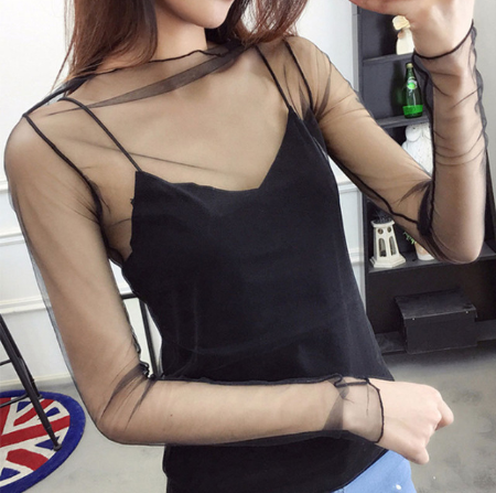 Sheer Lace Long Sleeve Crop Top Mesh Layering Piece