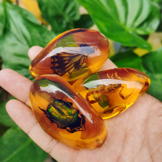 Glow Amber Insect Pendant