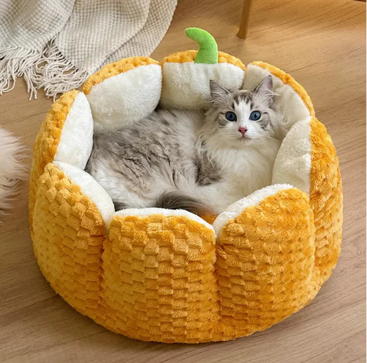 Cat lying in a pumpkin-shaped pet bed on a wooden floor