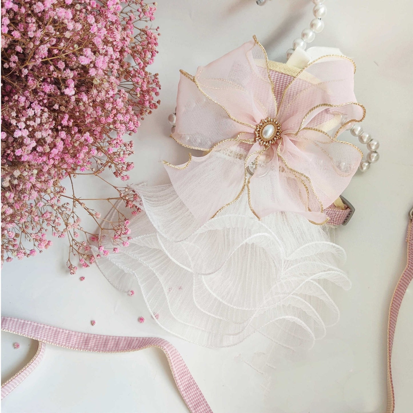 Fairy Princess Dress | Pet With Yarn Leash