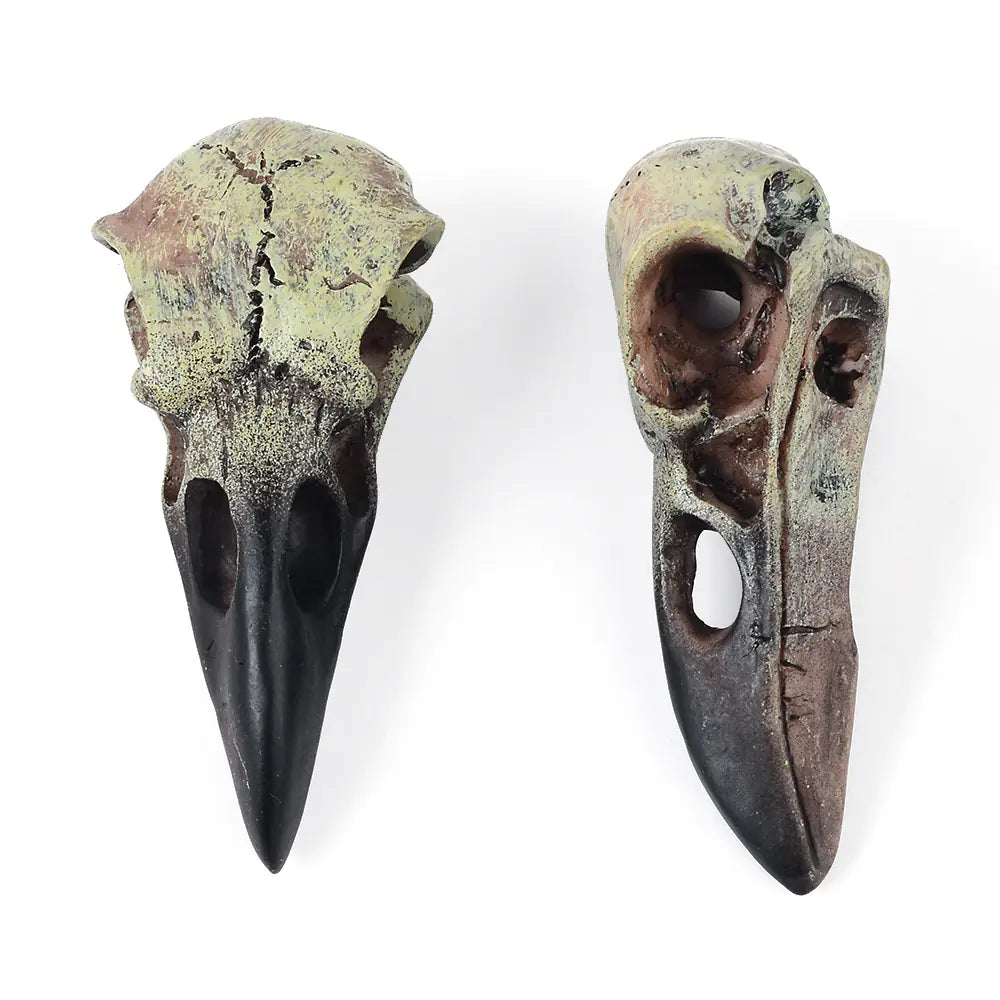 Two bird skull replicas on a white background