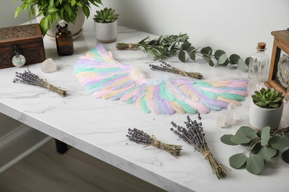 Pastel-colored angel wings on a black background