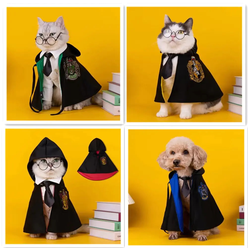 Pet Magic Cape Outfit Sorceress Sanctuary