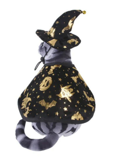 Pet Wizard Cloak Sorceress Sanctuary