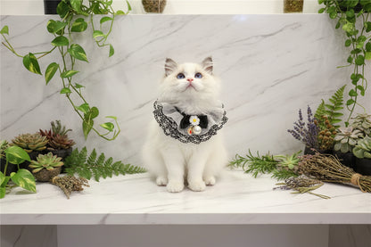 Black Fairy Pet Scarf with Lace Details Sorceress Sanctuary