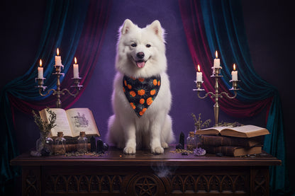 Double Pet Bandana - Sorceress Sanctuary Bat or spider web / S-Bat or spider web / M-Spider or ghost / M-Spider or ghost / S-Spider web pumpkin / S
