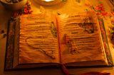 Shadow Magic Book
