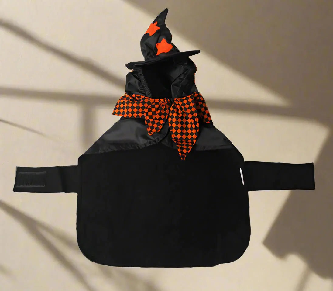 Black pet Halloween costume with orange and black checkered scarf and witch hat on a white background