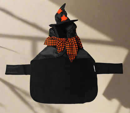 Black pet Halloween costume with orange and black checkered scarf and witch hat on a white background