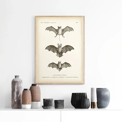 Vintage Bat Print