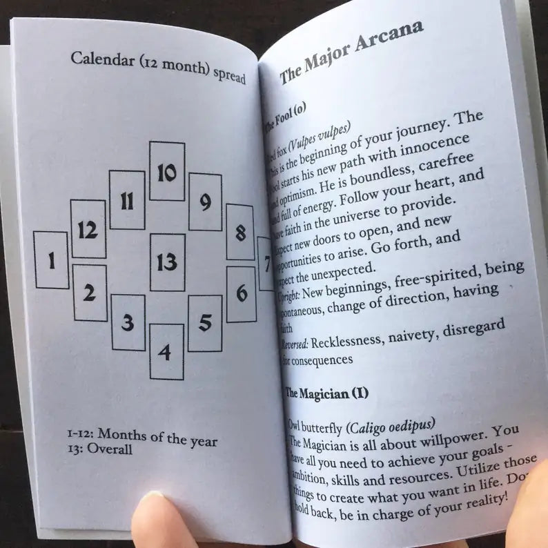 Anima Mundi Tarot Cards