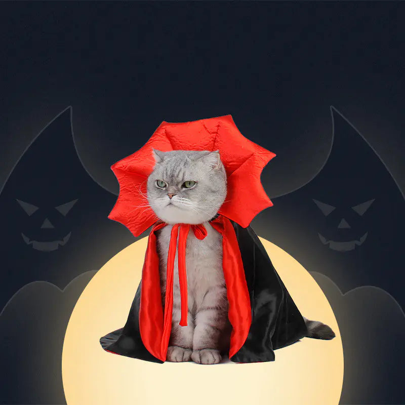 Vampire King Pet Cape Sorceress Sanctuary
