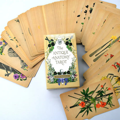 Oracle Collection | Tarot Cards Sorceress Sanctuary