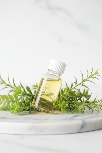 Multi-Effect Herbal Oil for Massage and Gua Sha Base Sorceress Sanctuary