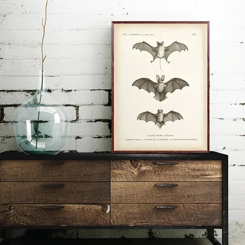 Vintage Bat Print