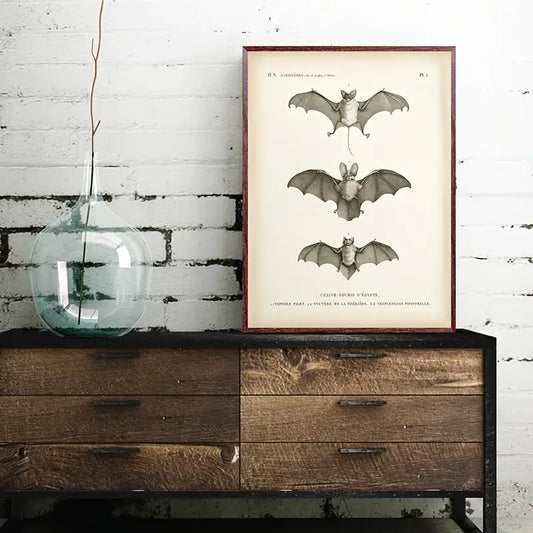 Vintage Bat Print