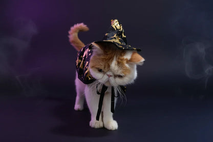Pet Wizard Costume - Sorceress Sanctuary Hat / S-Hat / M-Hat / L-Cloak / S-Cloak / M