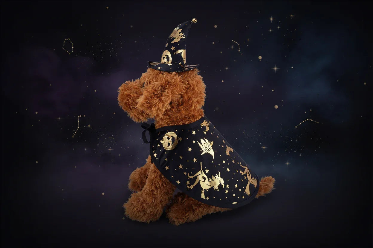 Pet Wizard Costume - Sorceress Sanctuary Hat / S-Hat / M-Hat / L-Cloak / S-Cloak / M