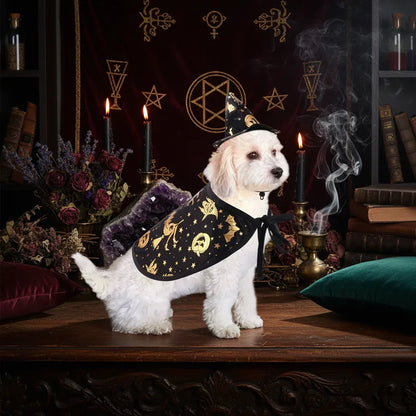 Pet Wizard Costume - Sorceress Sanctuary Hat / S-Hat / M-Hat / L-Cloak / S-Cloak / M