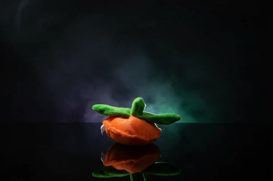 Pumpkin Pet Set - Sorceress Sanctuary Orange / Pumpkin Hat-Orange / M-Orange / S