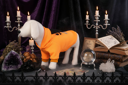 Spooky Pet Sweater - Sorceress Sanctuary Black / S-Black / M-Black / L-Yellow / S-Yellow / M