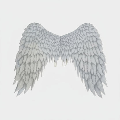 Gray angel wings on a white background